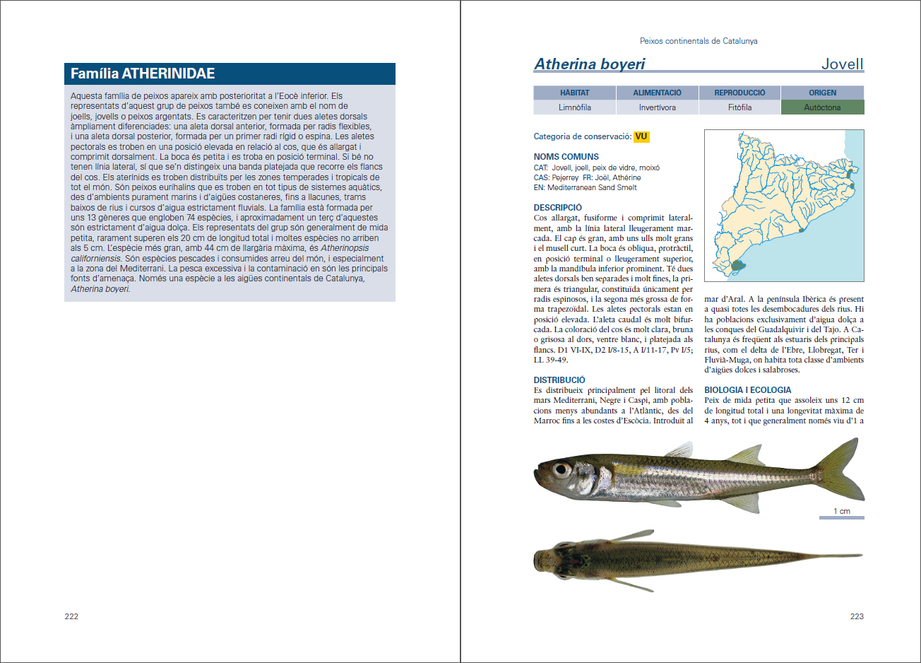 Sample page of Peixos continentals de Catalunya Peixos continentals de Catalunya sample page